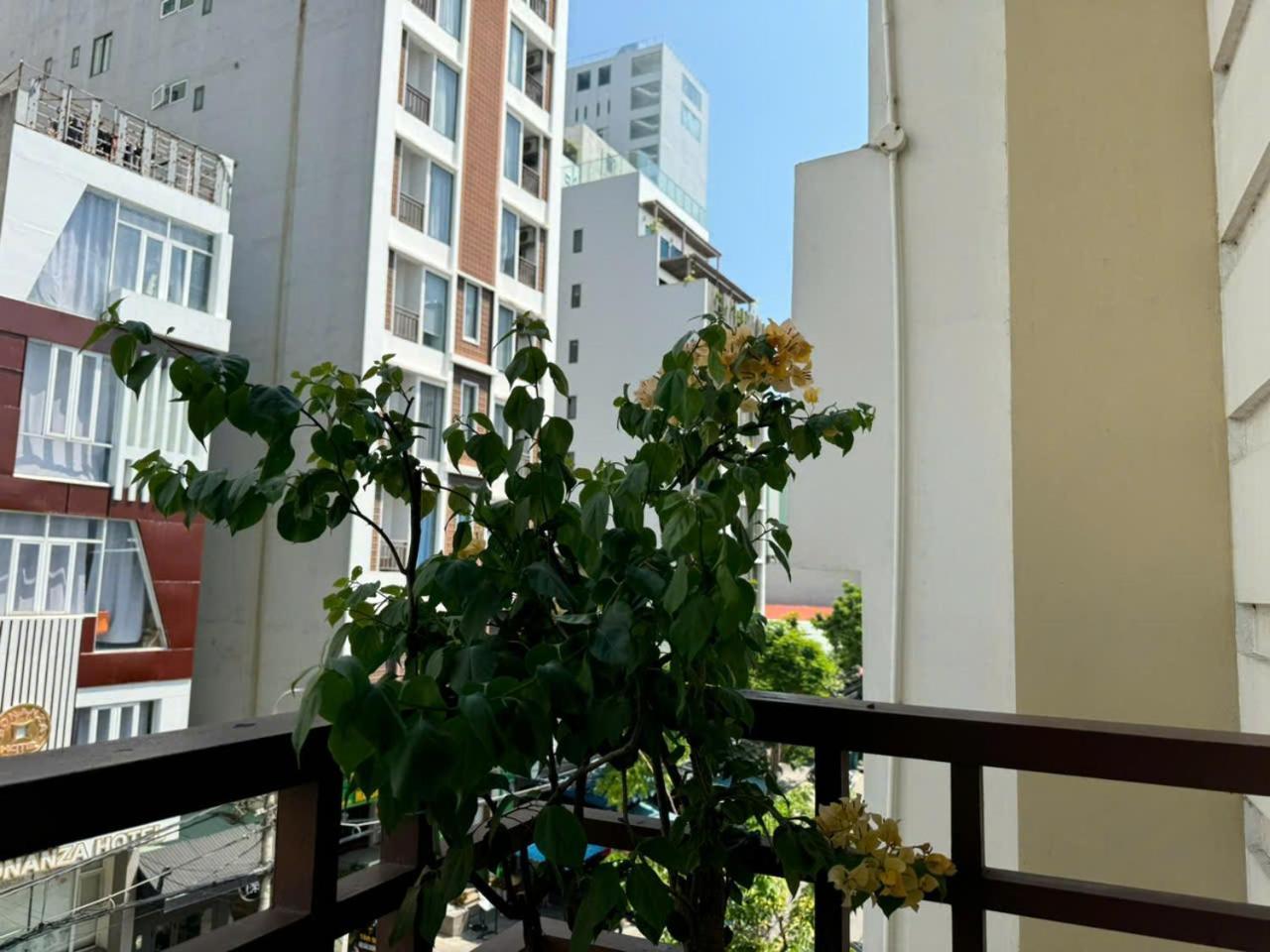 Thanh Hien Hb Hotel Da Nang Exteriör bild